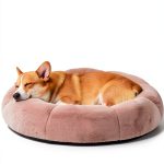 OhGeni Orthopedic Dog Bed Large Breed Waterproof Removable-0