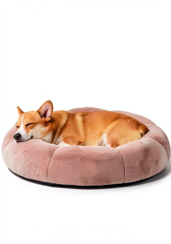 OhGeni Orthopedic Dog Bed Large Breed Waterproof Removable-0