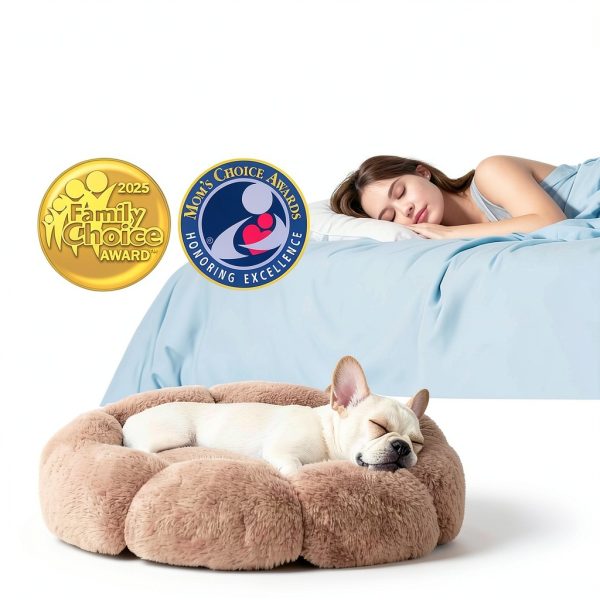 OhGeni Orthopedic Dog Bed Large Breed Waterproof Removable-4