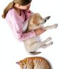 K&H Pet Bed Warmer for Dogs and Cats-8